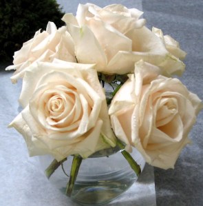 A bubble bowl of Vandella Roses (a light cream color).  This can be a casual centerpiece  or decor for a cocktail table.