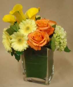 Bright Colors and Sunshine