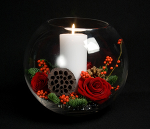 Holliday Flowers of the Season - Brought to you by Starbright 