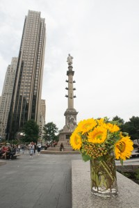 Sunflowers in NYC-Columbus Circle