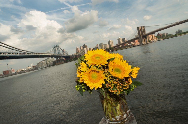 Downtown Manhattan Sunflowers