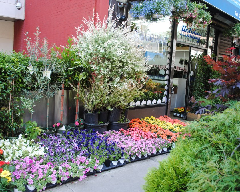 Holiday Flower and Planting Inc