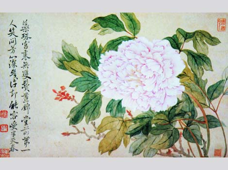 painted Peony, Yun Shouping, Qing Dynasty