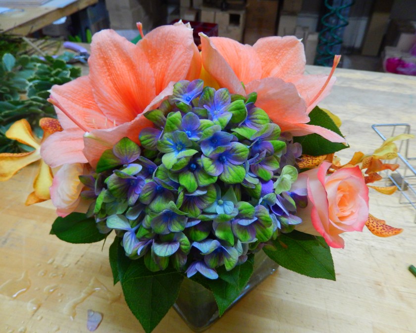 Starbright arrangment