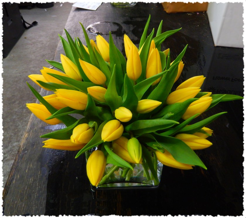 Yellow Tulips
