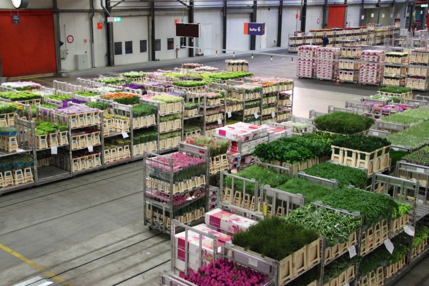 Warehouse in Aalsmeer