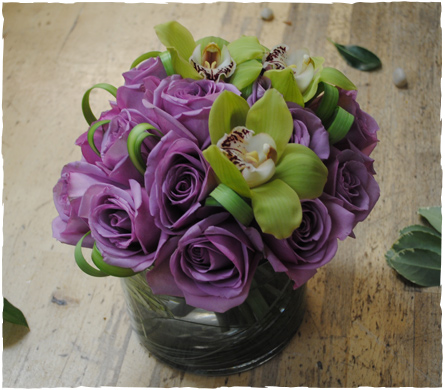 Starbright Arrangement