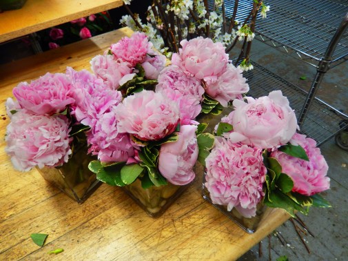 Peonies