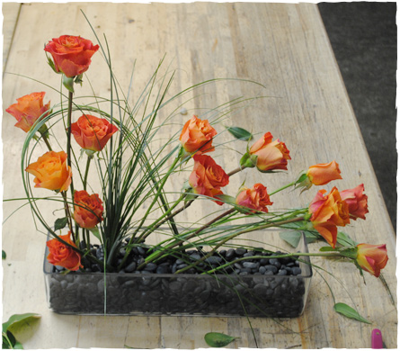 Starbright Floral Design