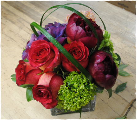 Starbright Arrangment