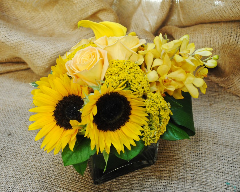Starbright floral design yellow