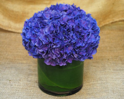 Blue Suede Bouquet