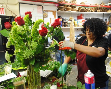 Ana - Queen of the roses!