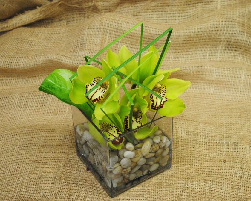 Boys like flowers too