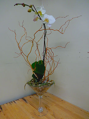 orchid-martini-445x390