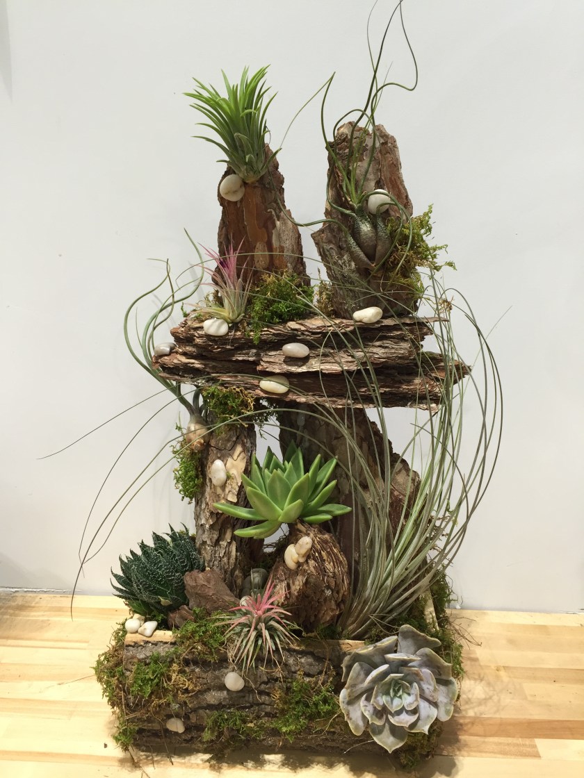 Photo Jul 30, 3 11 53 PM