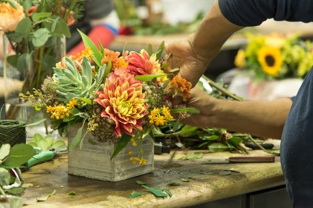 Starbright's beautiful creations.