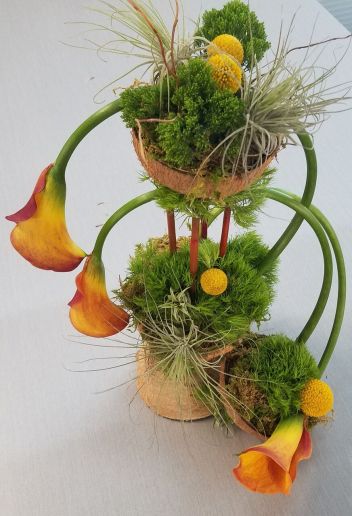 Calla lilies and mosses beflower our tropical coconuts.