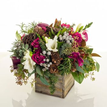 Dense foliage combined with radiant flowers warm your home for the holidays and beyond.