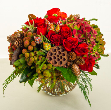 Starbright's Holiday Sonnet creates is cheerful, festive composition that brightens every day.