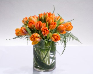 The gentle elegance of tulips is displayed in their full glory with a clear glass vase.